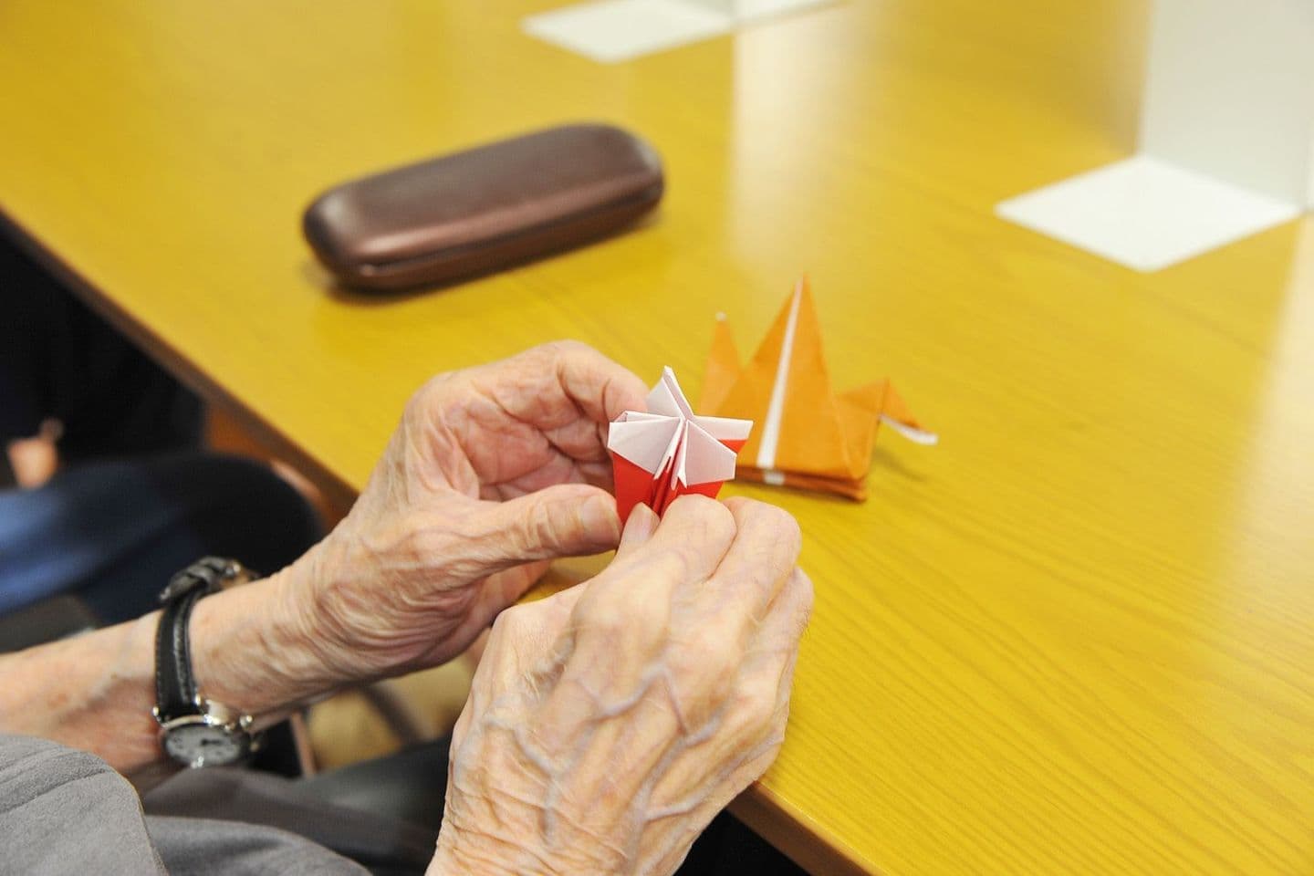 レクリエーション風景